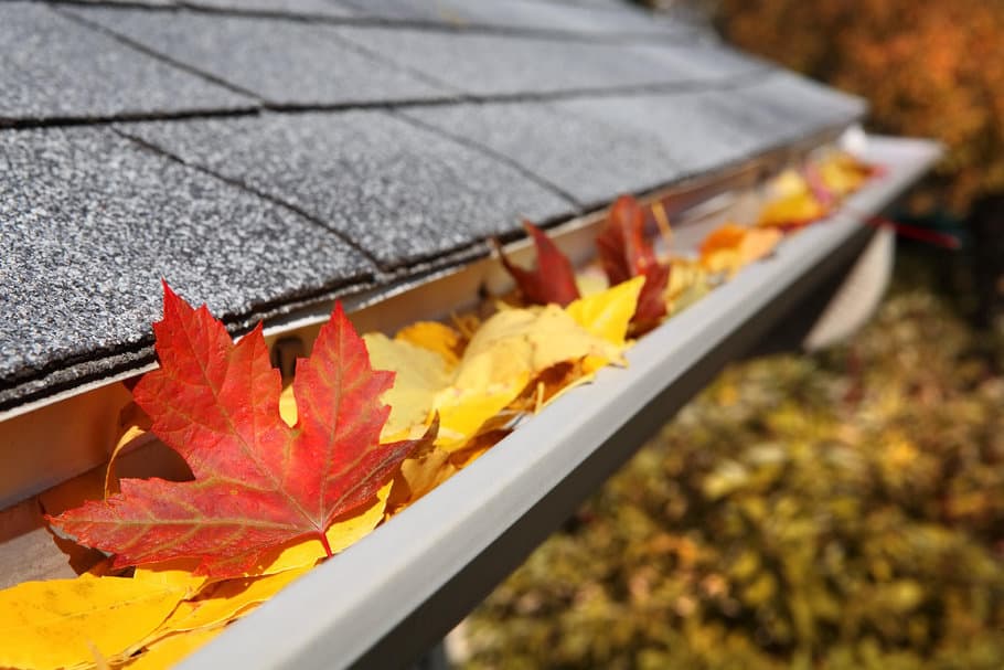 How to clean gutters